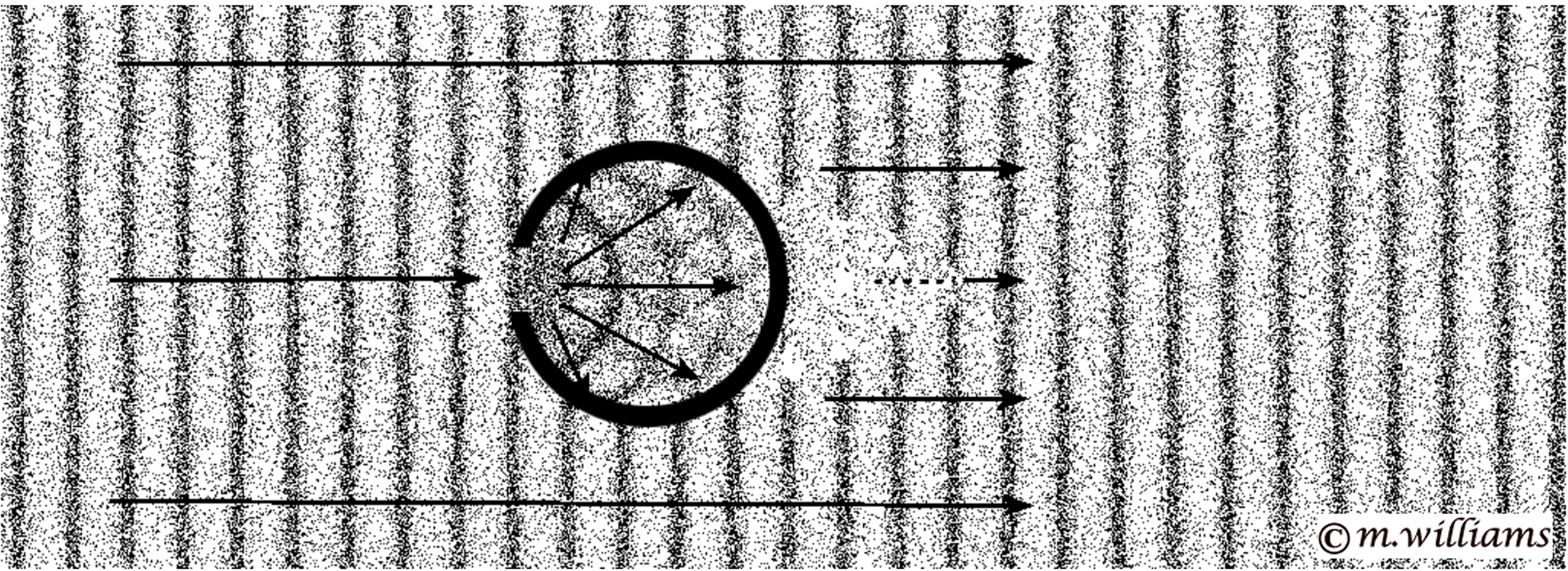 section view within intereference tube of a plane wave passing 
           through a many small orifices becomes a complex series of spherical 
           waves radiating from each hole