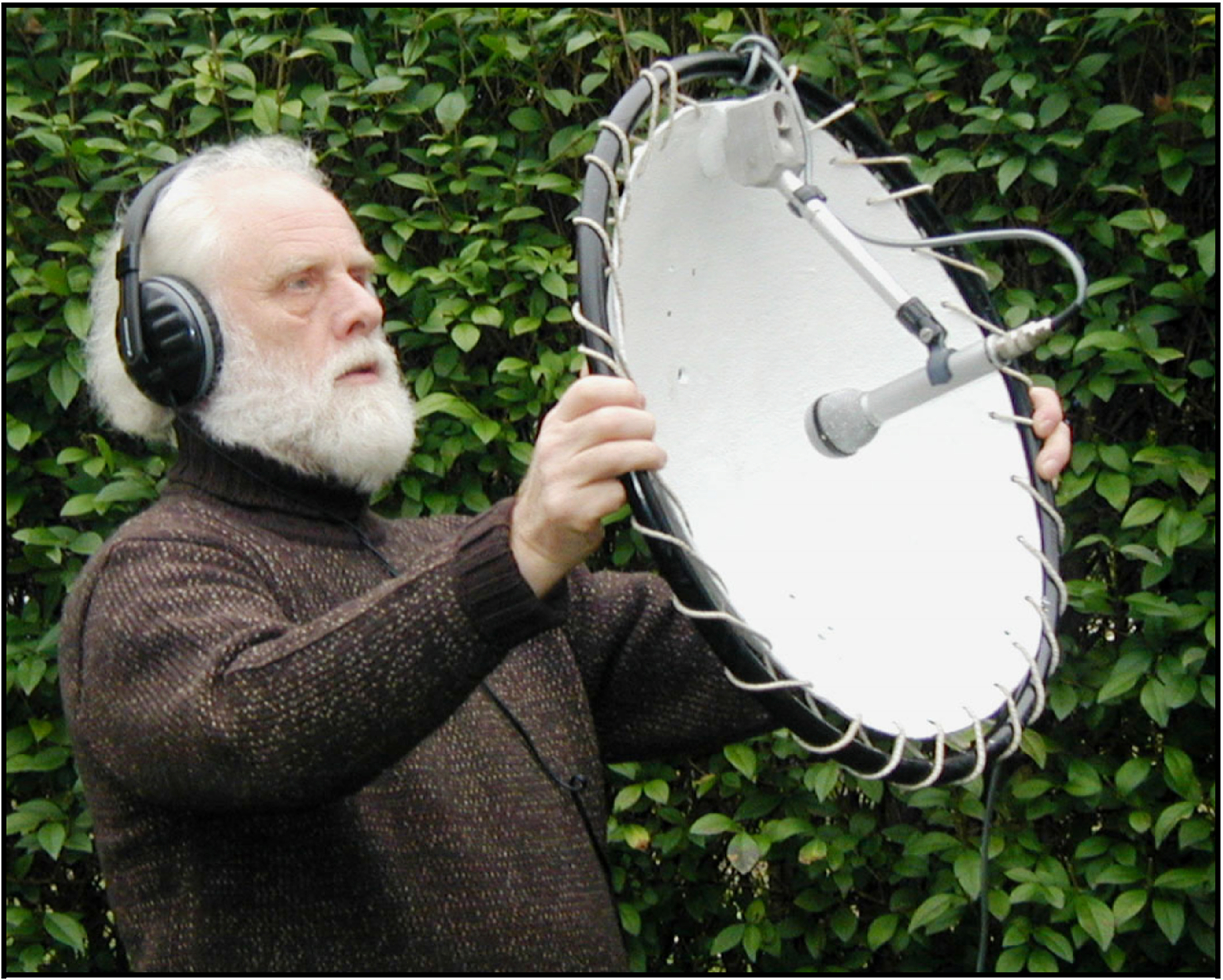 Elastic suspension of parabola reflector