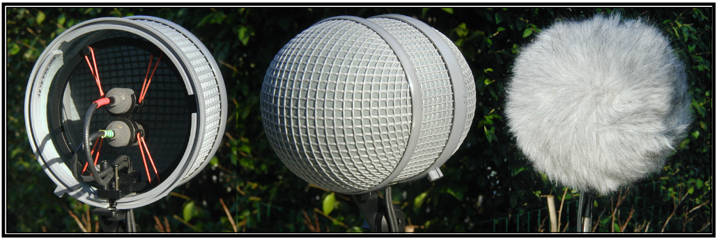 a Rycote windshield and windjammer (15cm in diameter) with a suspension 
          for a Schoeps M/S microphone pair (Cardioid MK4 and Bi MK8)